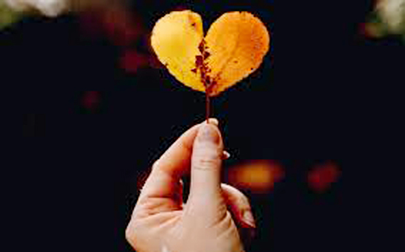 Sự mầu nhiệm của lòng biết ơn